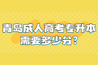 青岛成考网 青岛成人高考常见问题