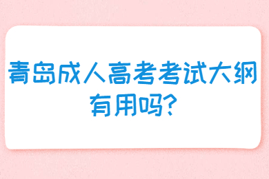 青岛成人高考考试大纲有用吗