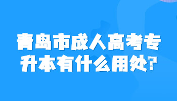 青岛市成人高考专升本