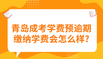 青岛成考学费