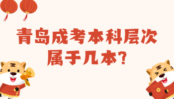 青岛成考本科