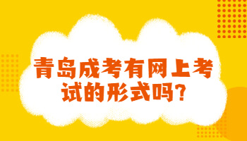 青岛成考有网上考试的形式吗