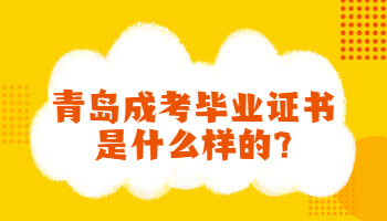 青岛成考毕业证书