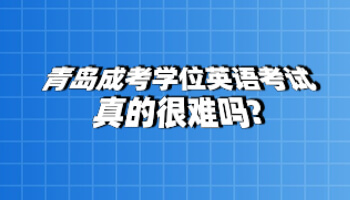 青岛成考学位英语