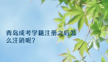 青岛成考学籍注册之后怎么注销呢